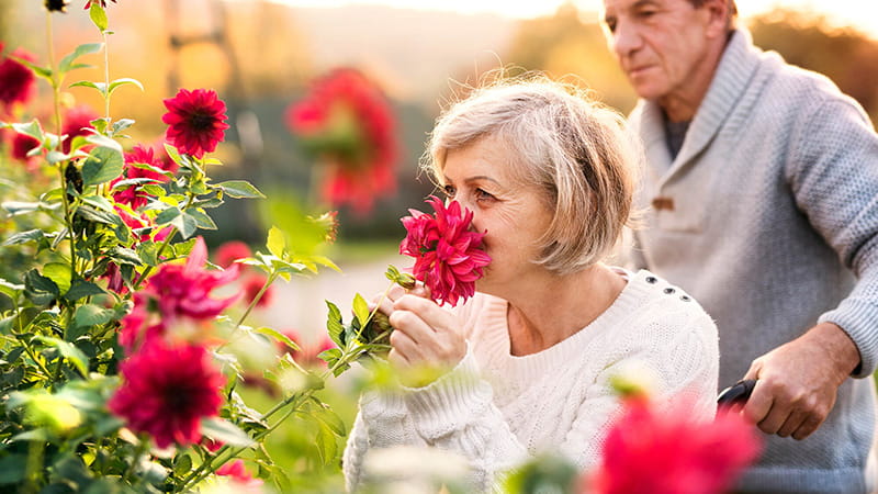 couple in a garden