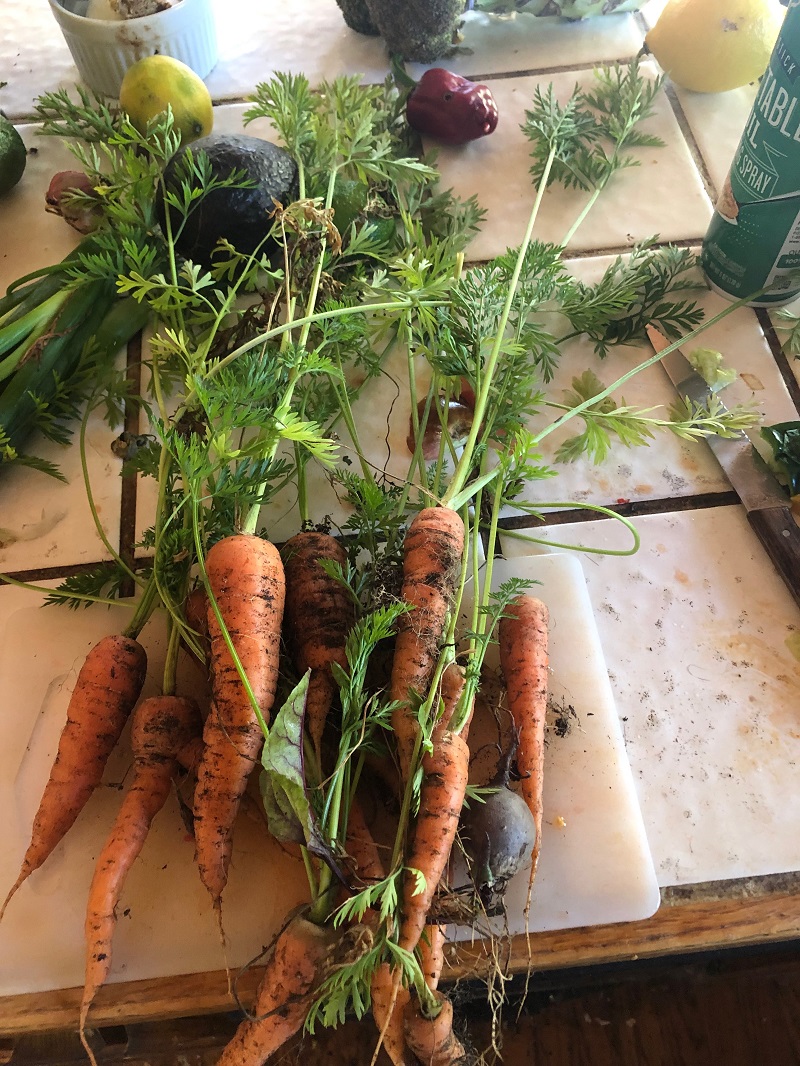 A bunch of freshly-picked, unwashed carrots laying on a cutting board