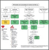 Blood Pressure Toolkit | EmPOWERED To Serve