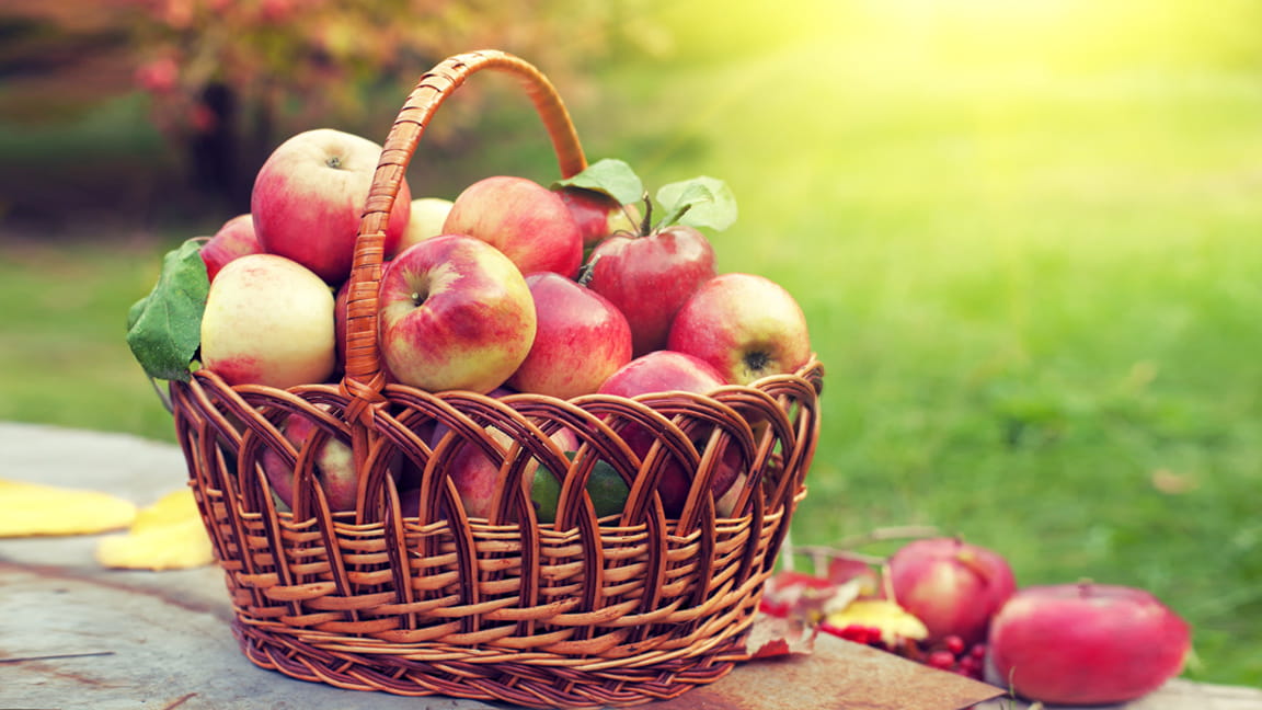 basket of apples